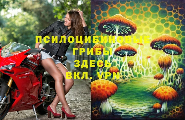 мдпв Приозерск