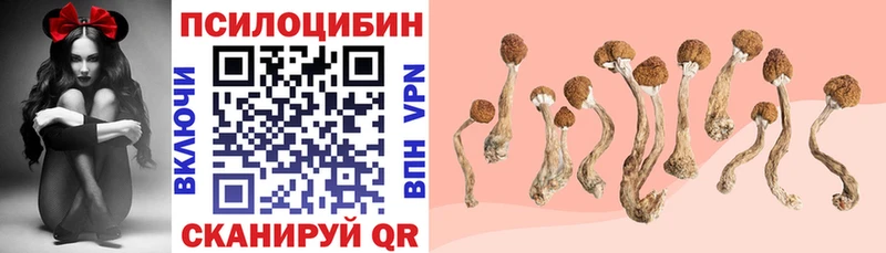 Галлюциногенные грибы GOLDEN TEACHER  где купить   Певек 